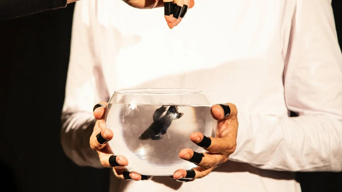 Person holding a fishbowl with a black fish for a blogpost with a what is culture activity