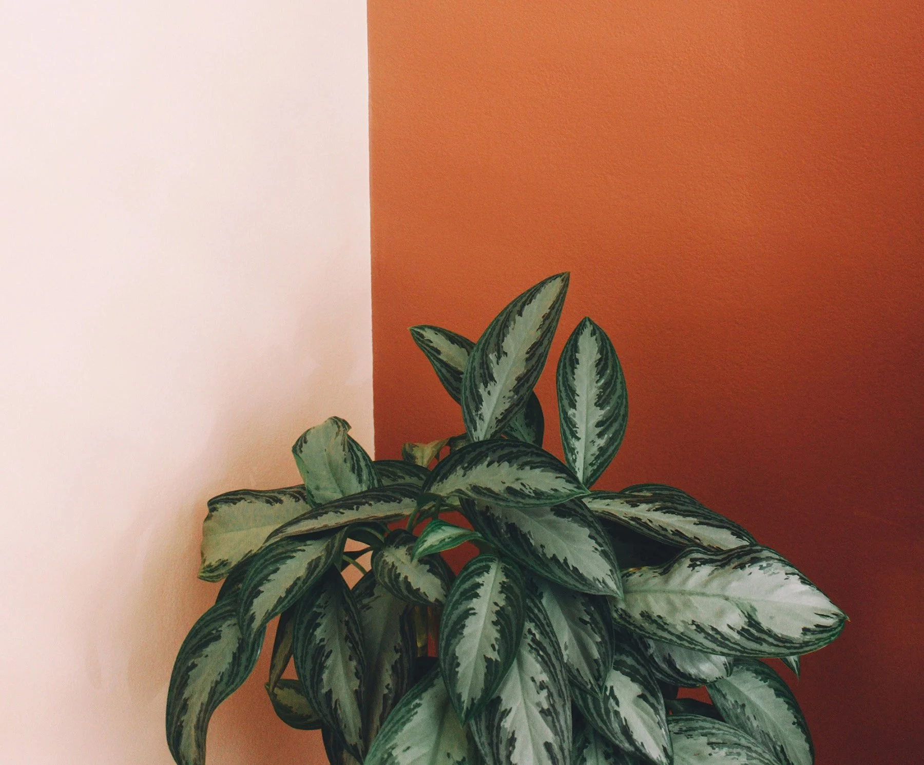 The Four Thesis Statements You Need in Your Back Pocket