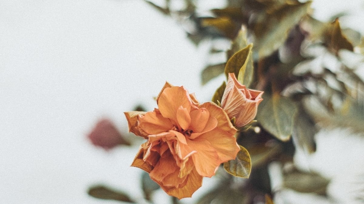 8 Powerful Habits to Build a Multicultural Classroom