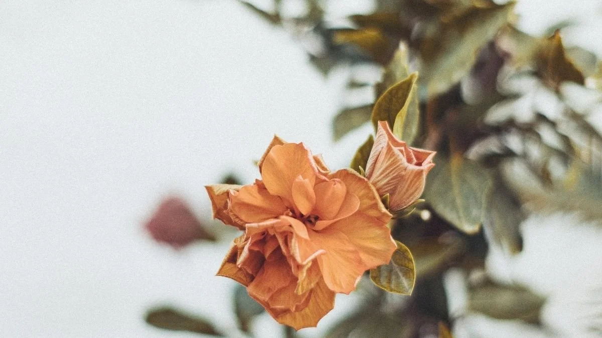 Let's Talk about Immigration in the Classroom: What, Why, & How?