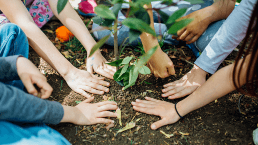 Students with their hands on the dirt around a plant for a blogpost about Earth Day for elementary students