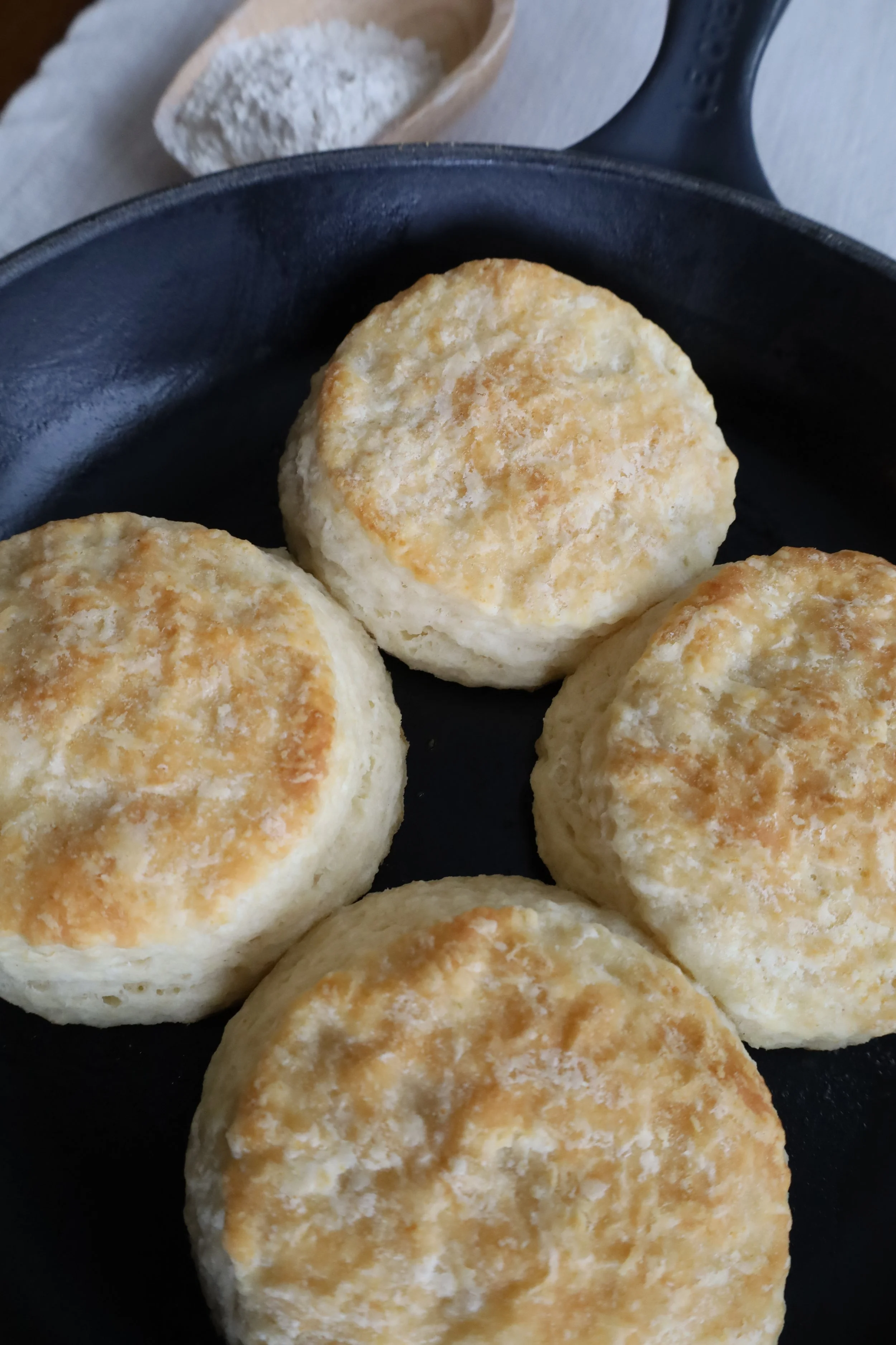 Homemade Biscuits