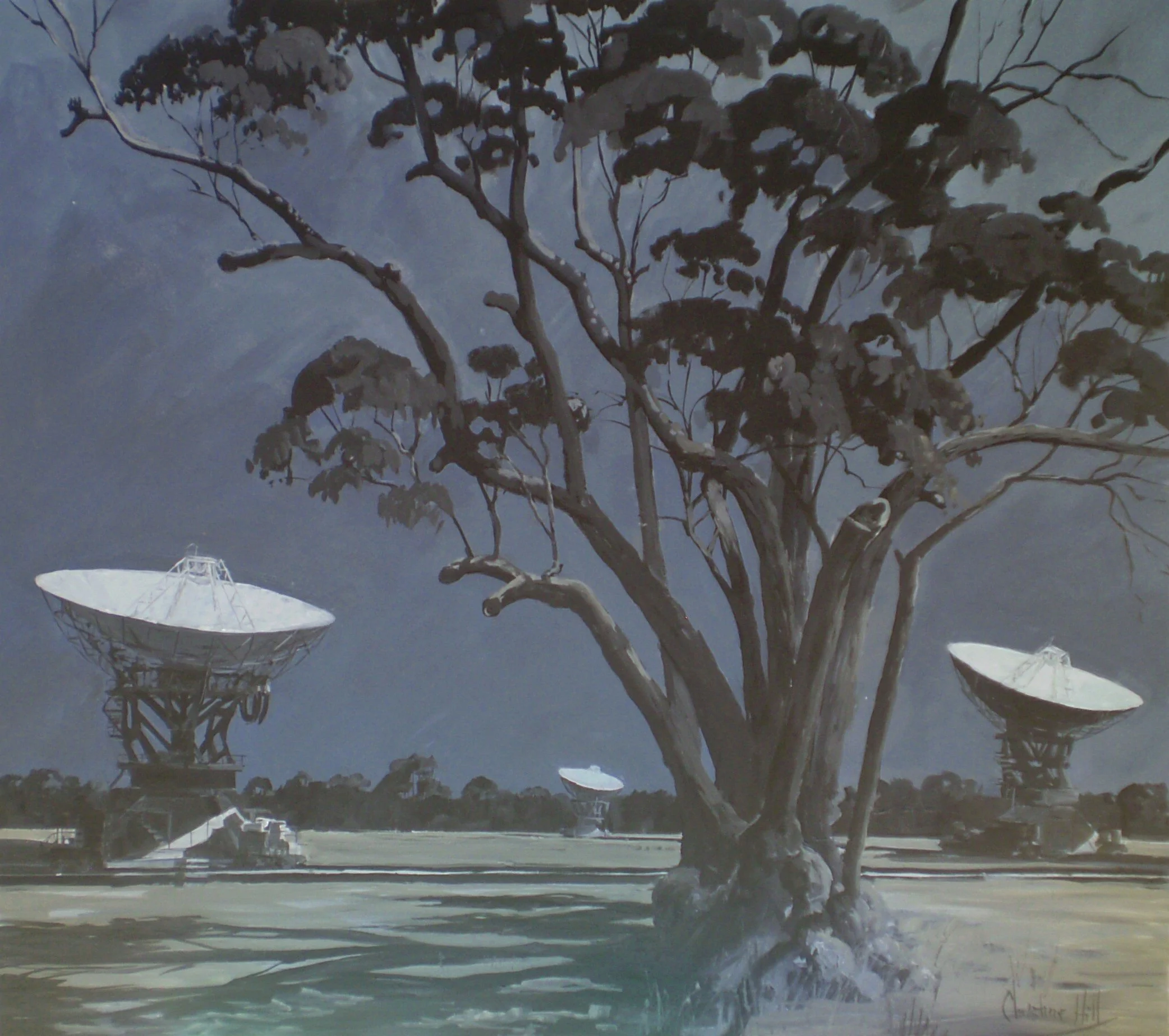 Startrackers Dreaming, Narrabri ATNF, Oil on Board, 80x60cm