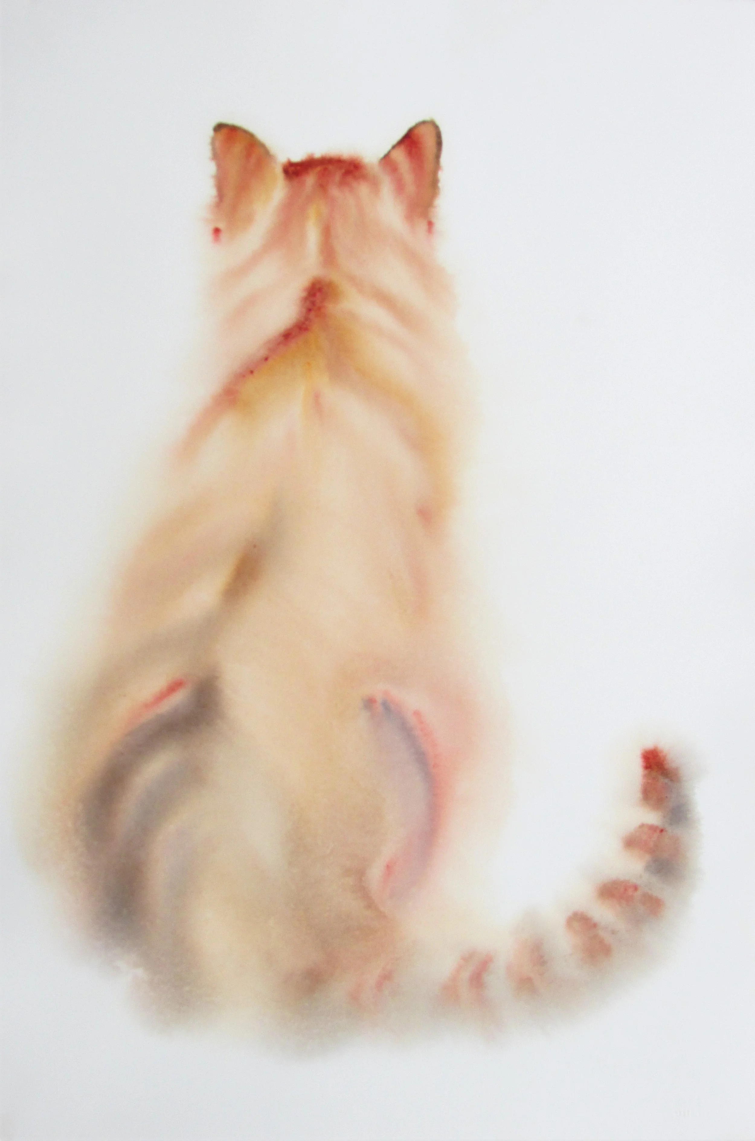 Cushy Cat, Watercolour, 50x70cm framed, $500