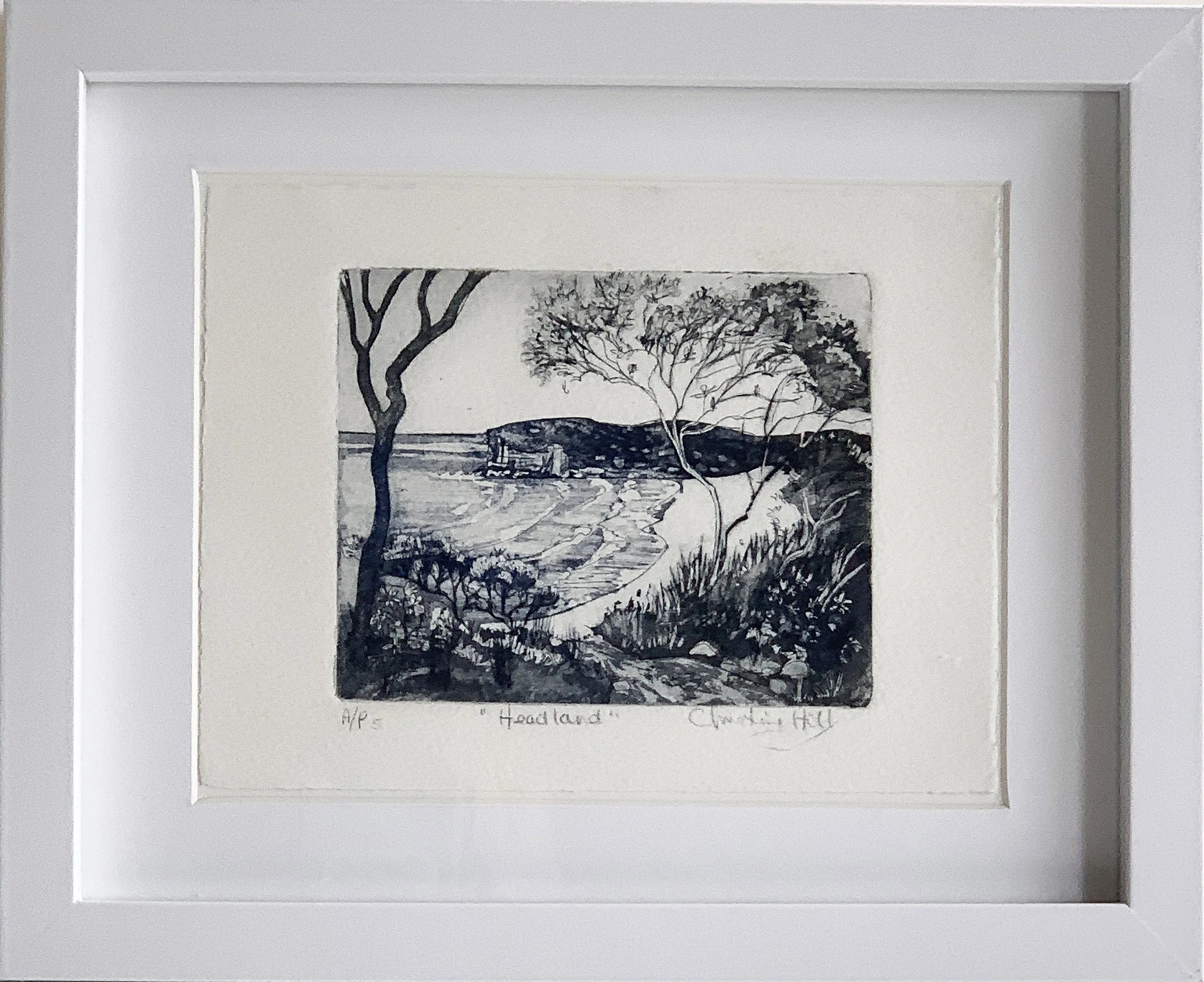 Headland, Etching, 20x25cm framed, $150