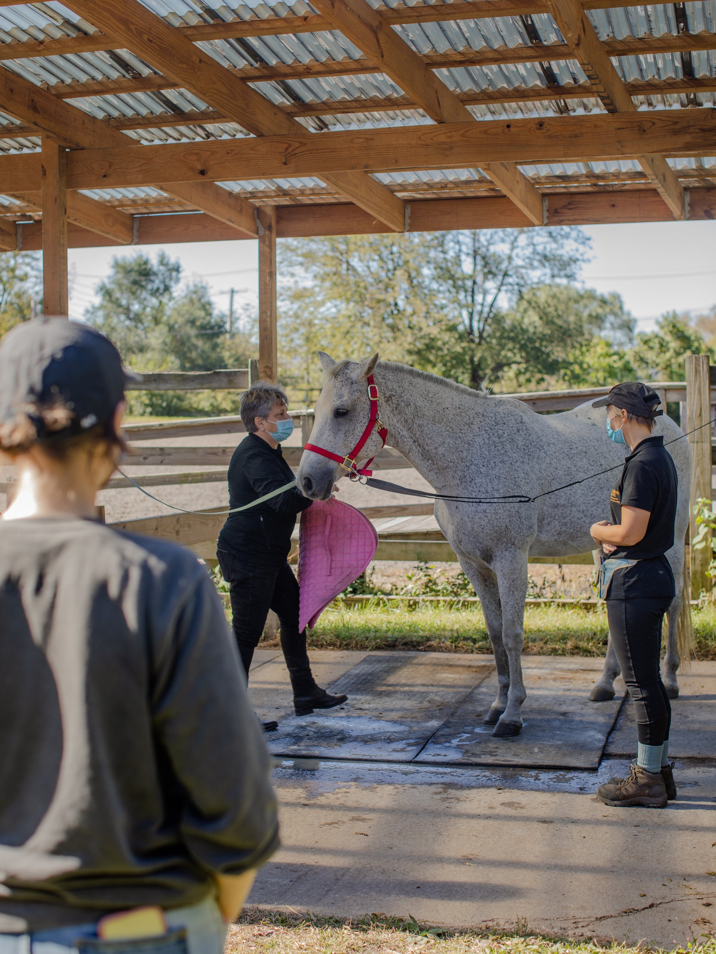 Horse Girls Doing Things

Photos by Fiona Mullen