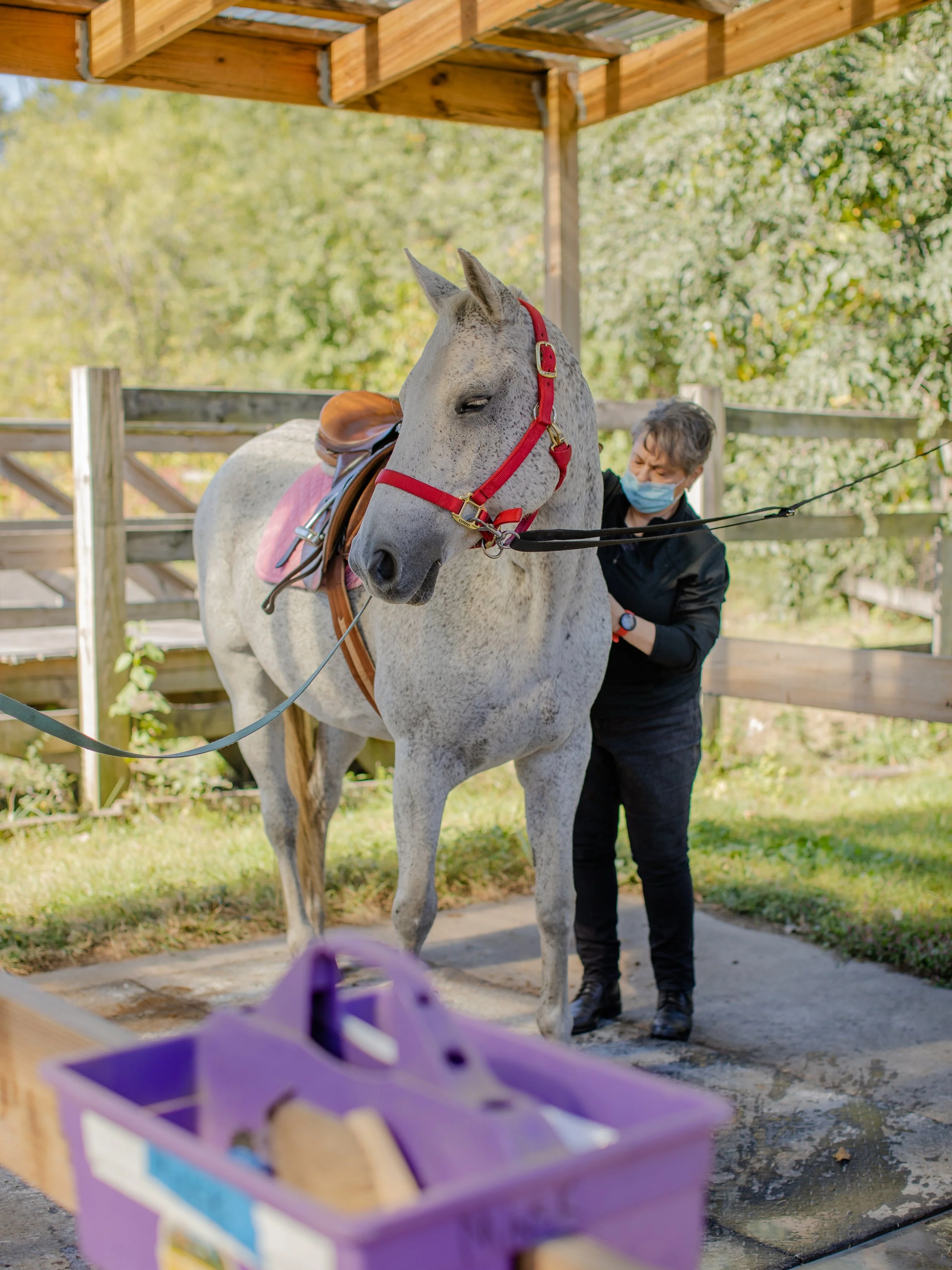 Horse Girls Doing Things

Photos by Fiona Mullen