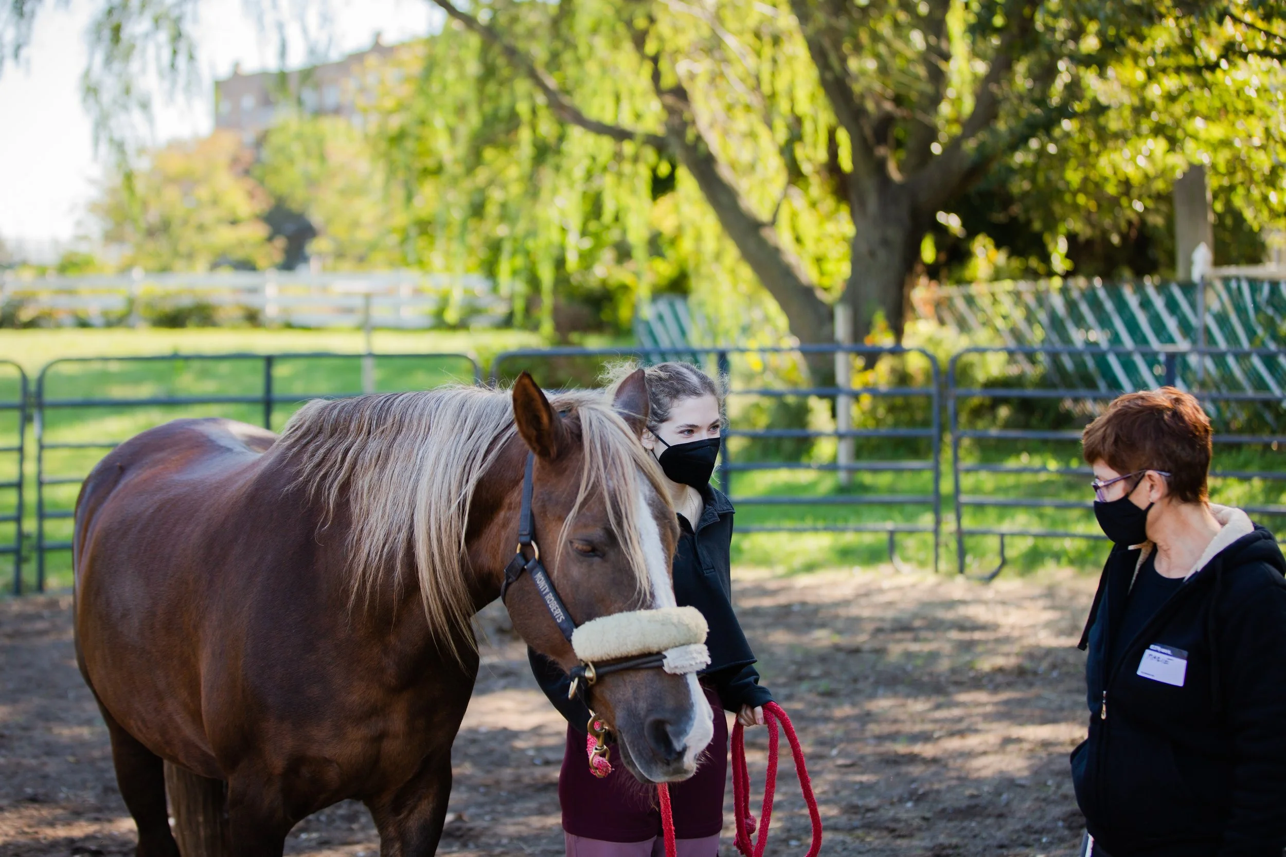 Horse Girls Doing Things

Photos by Fiona Mullen