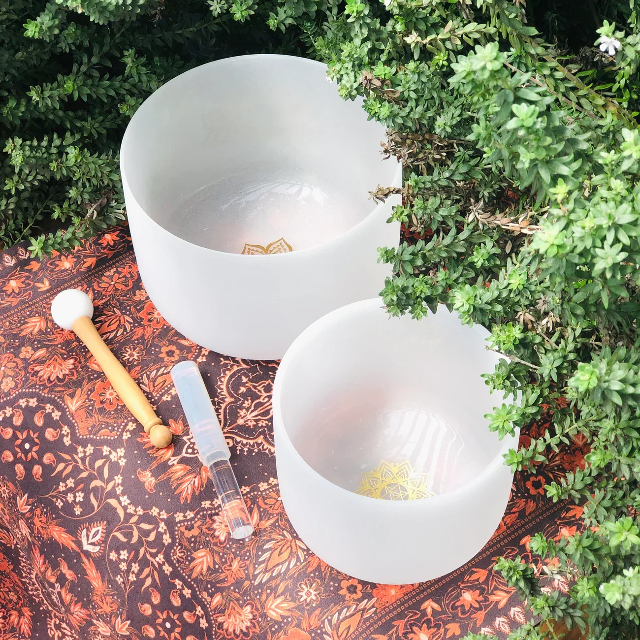 Private Couples Session