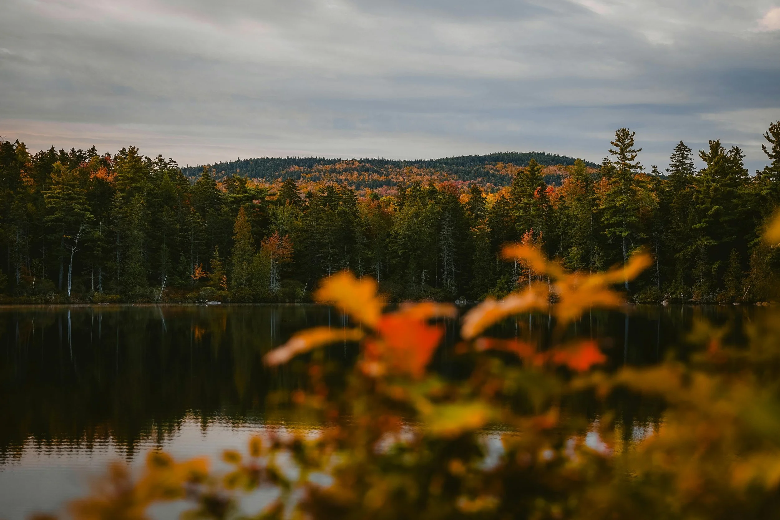 First Novel Update and a preview!