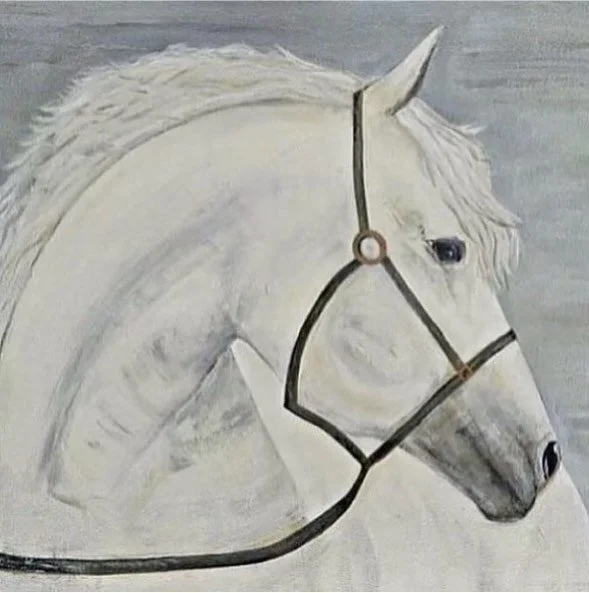 🤍[sold]

#horses #horselovers #horsepainting #yearofthehorse #ashleyannie