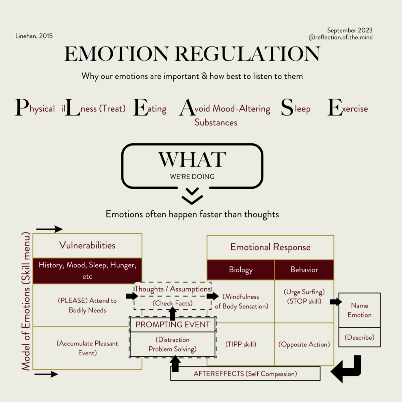 ER is what we do to change our emotions when they don't fit the facts of a situation or feel more intense than the present moment warrants. Learning about why emotions happen (and why they're faster than thoughts) helps us to change how we feel when 