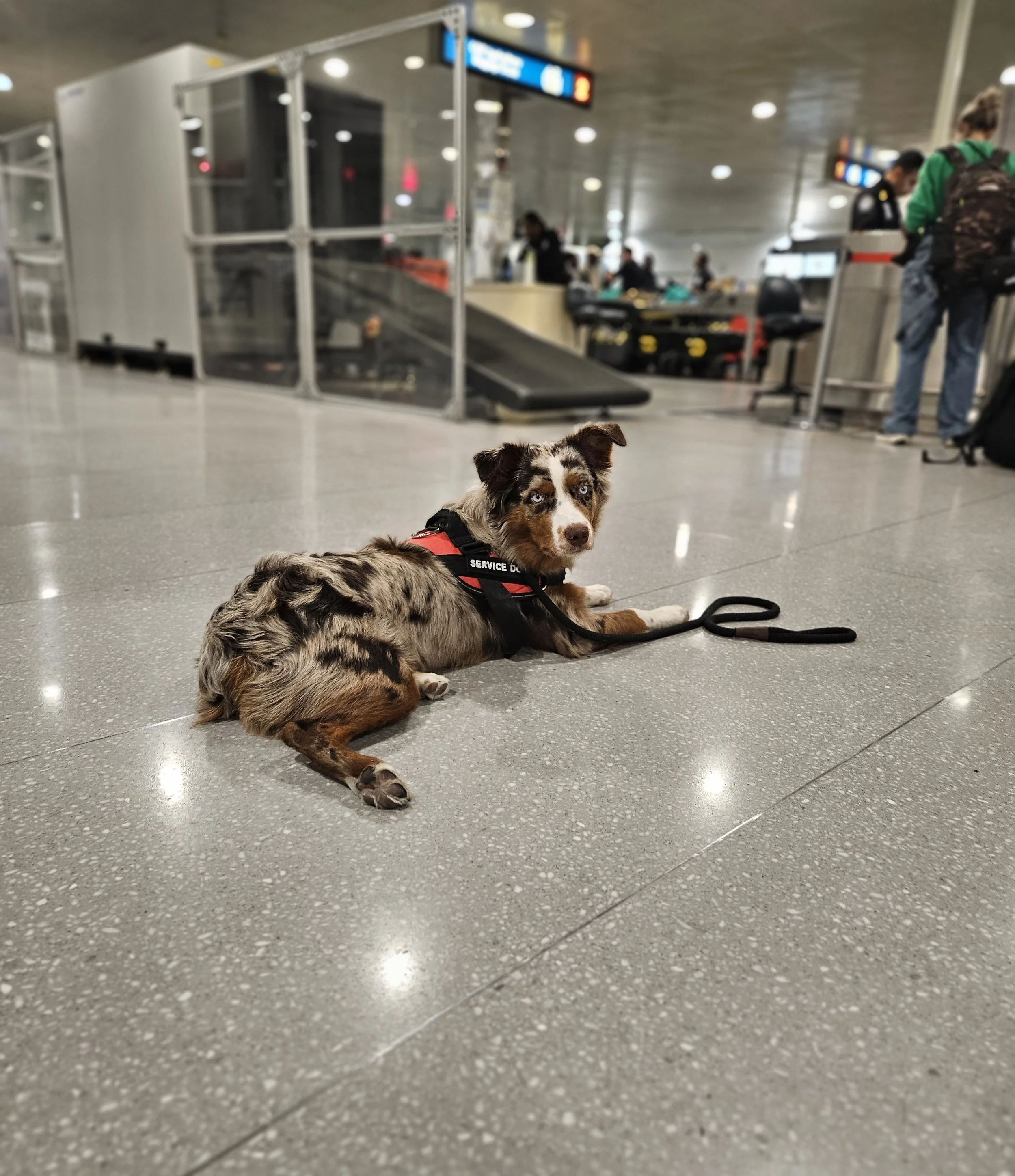 reyna in airport on way back to usa.jpg