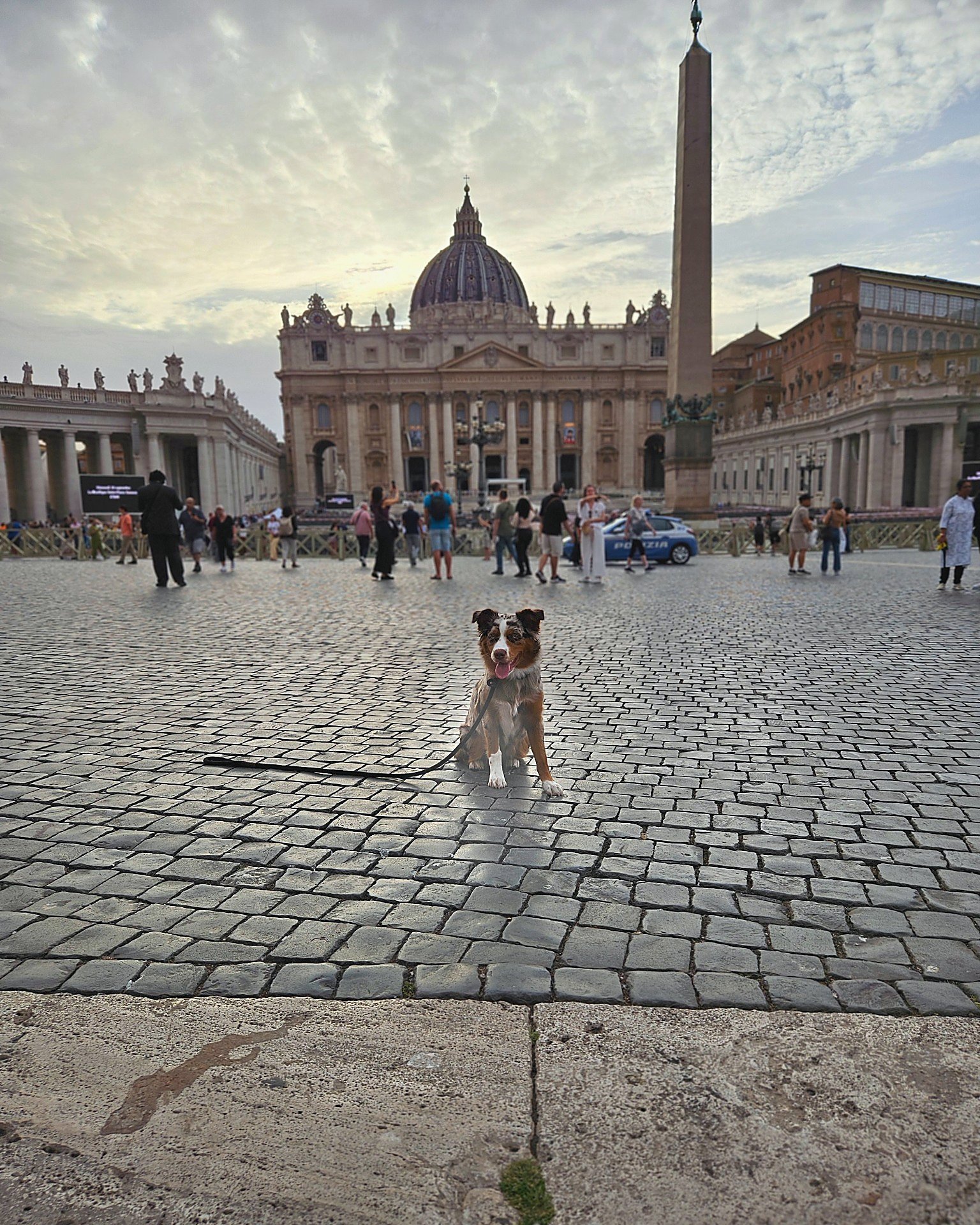 reyna placing in front of vatican website edit.jpg