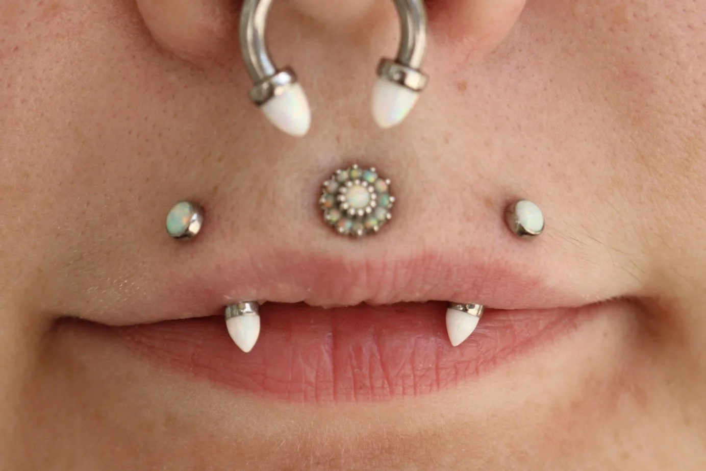 downsized angel fangs with white opal ends from Anatometal. Lip piercing, implant grade titanium