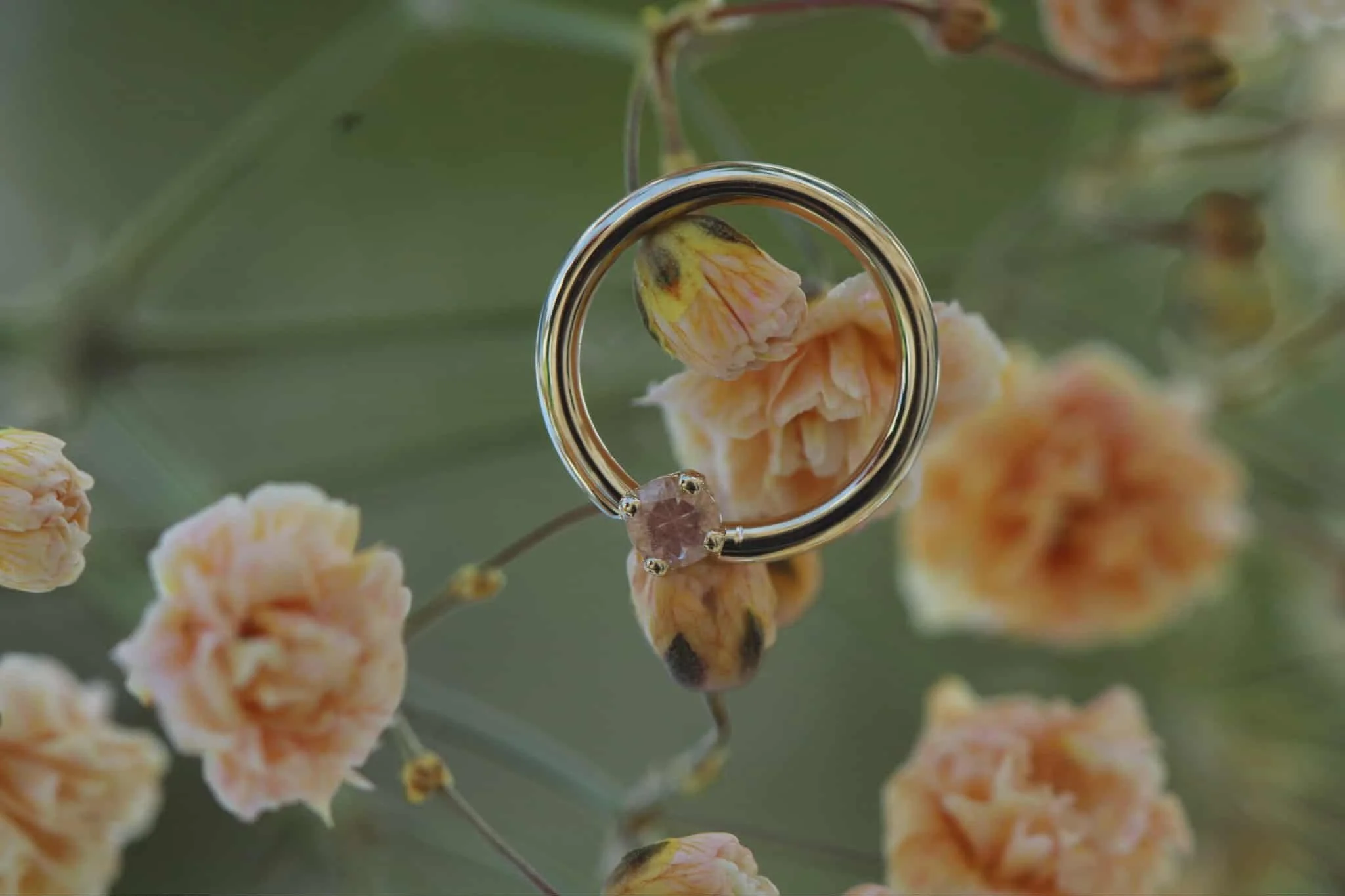 Body Vision Los Angeles (BVLA)