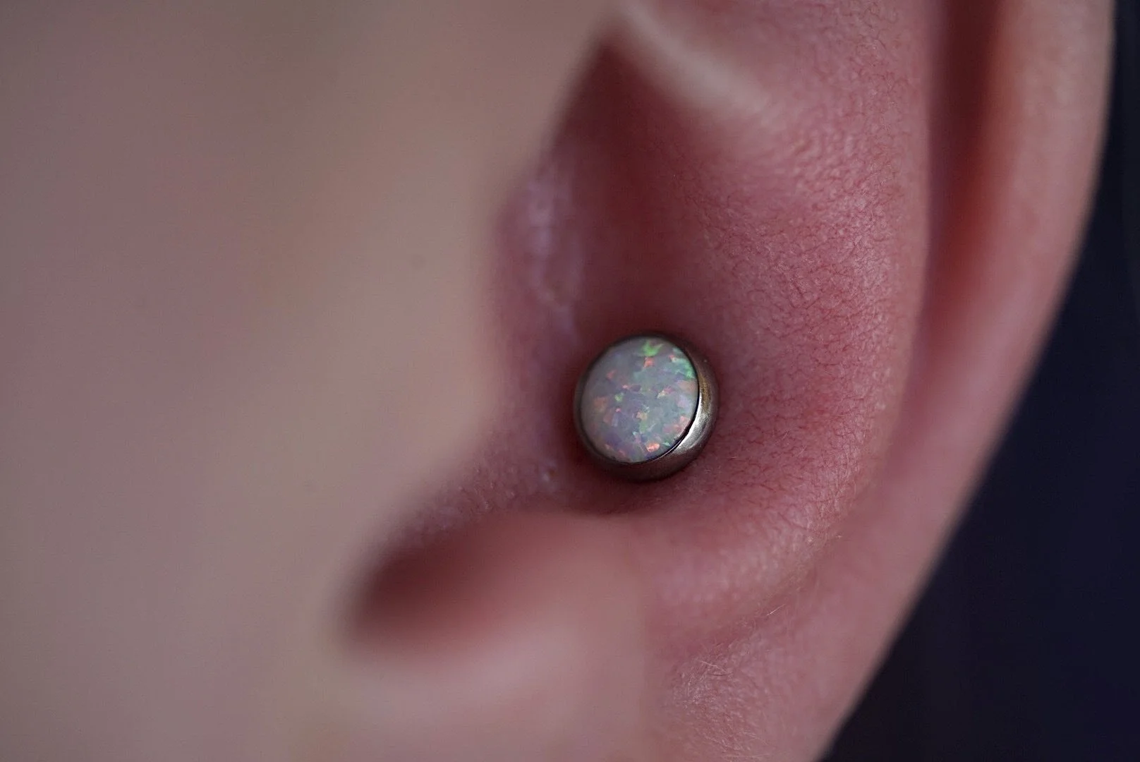 Conch piercing with a implant grade titanium 5mm white opal