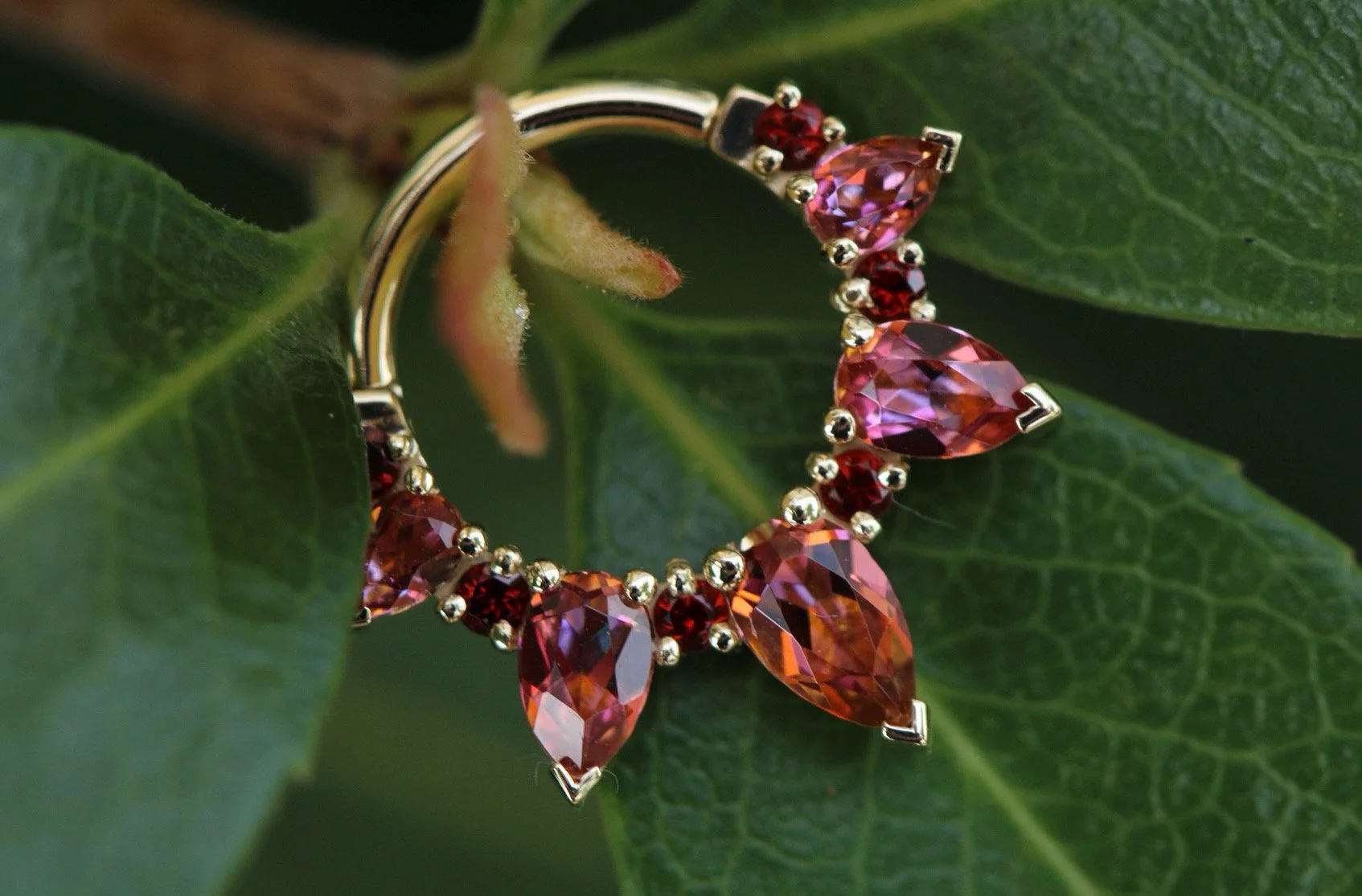 Body Vision Los Angeles (BVLA)