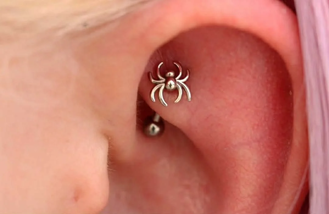 Rook piercing with a white gold spider from Body Gems and a implant grade titanium curve 