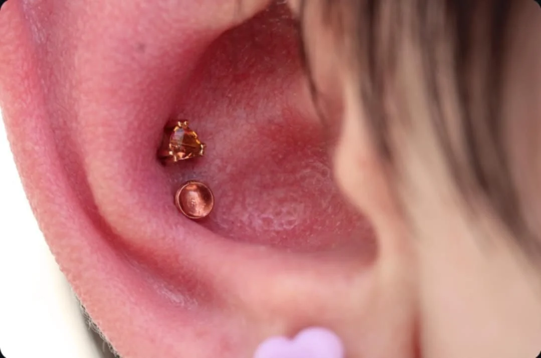 Double conch piercing with rose gold
BVLA and Norvoch