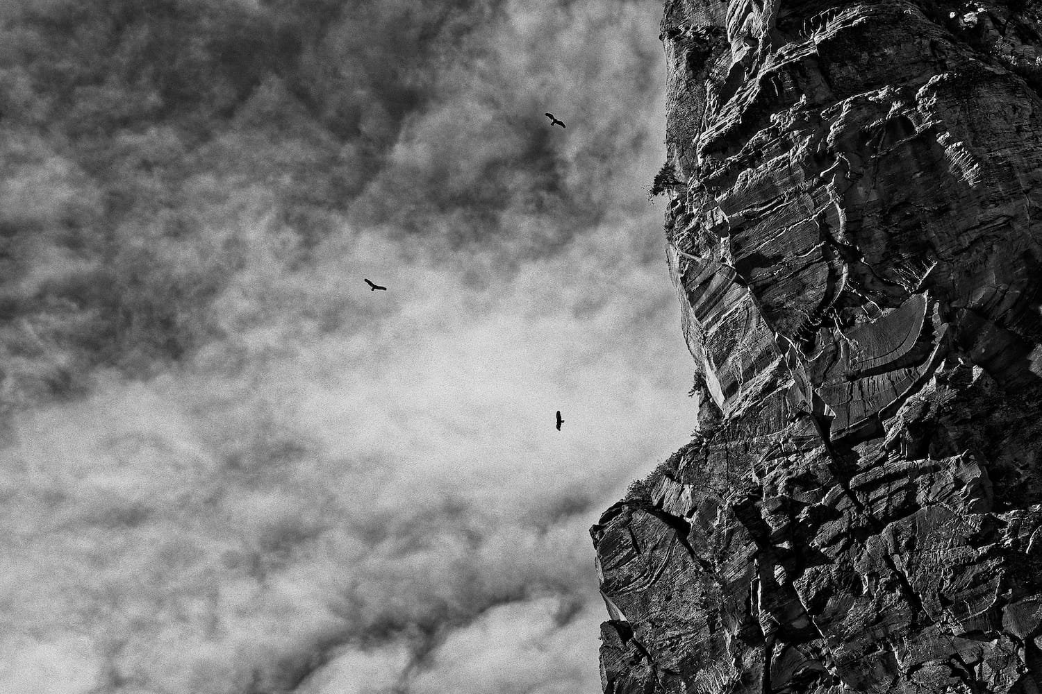Black and white photograph of a rock cliff face with visible cracks and textures, with a cloudy sky background and four birds flying near the cliff.