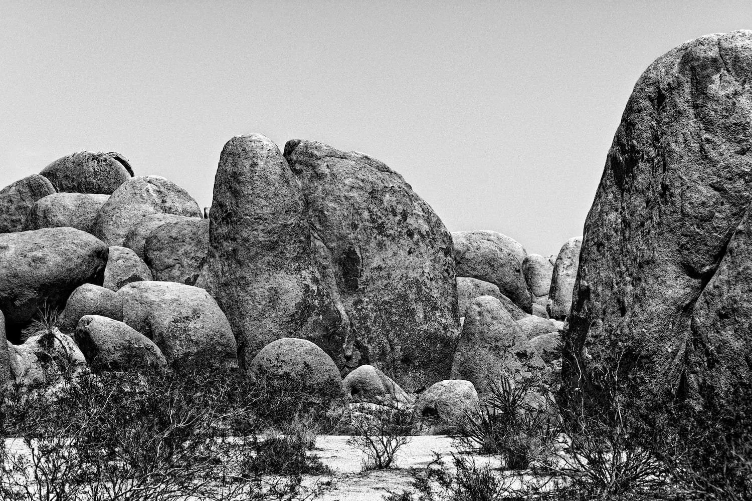 A black and white photograph of large rocky formations and desert vegetation.