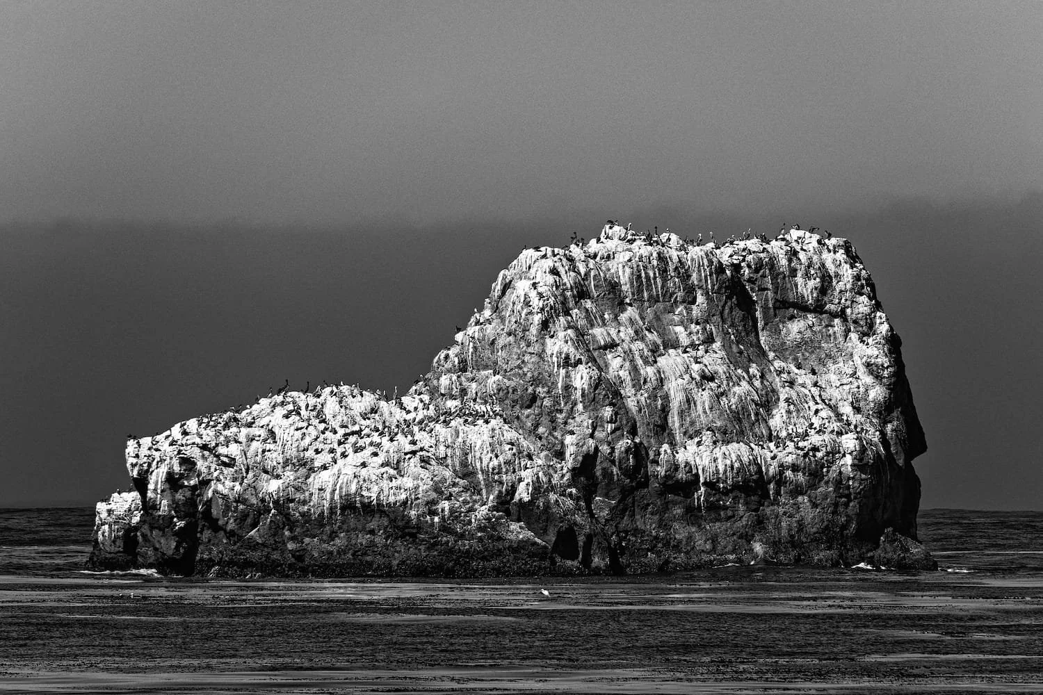A large rock formation in the ocean with seabirds perched on top, in black and white.