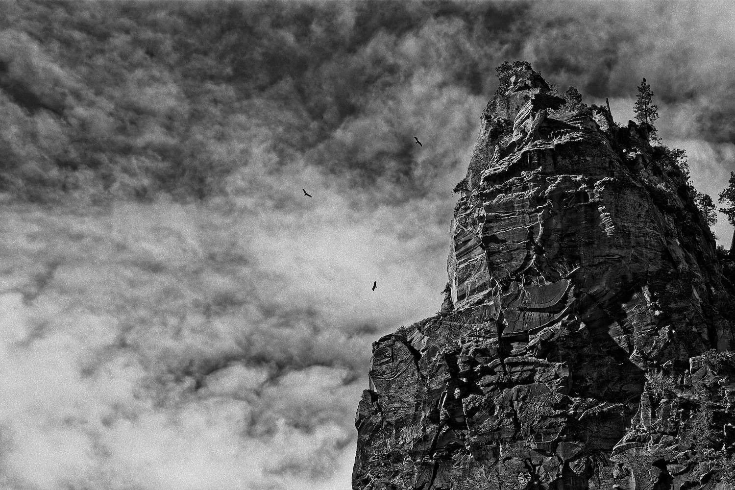 Black and white photograph of a tall, rugged mountain peak with trees near the top, under a cloudy sky with three birds flying nearby.