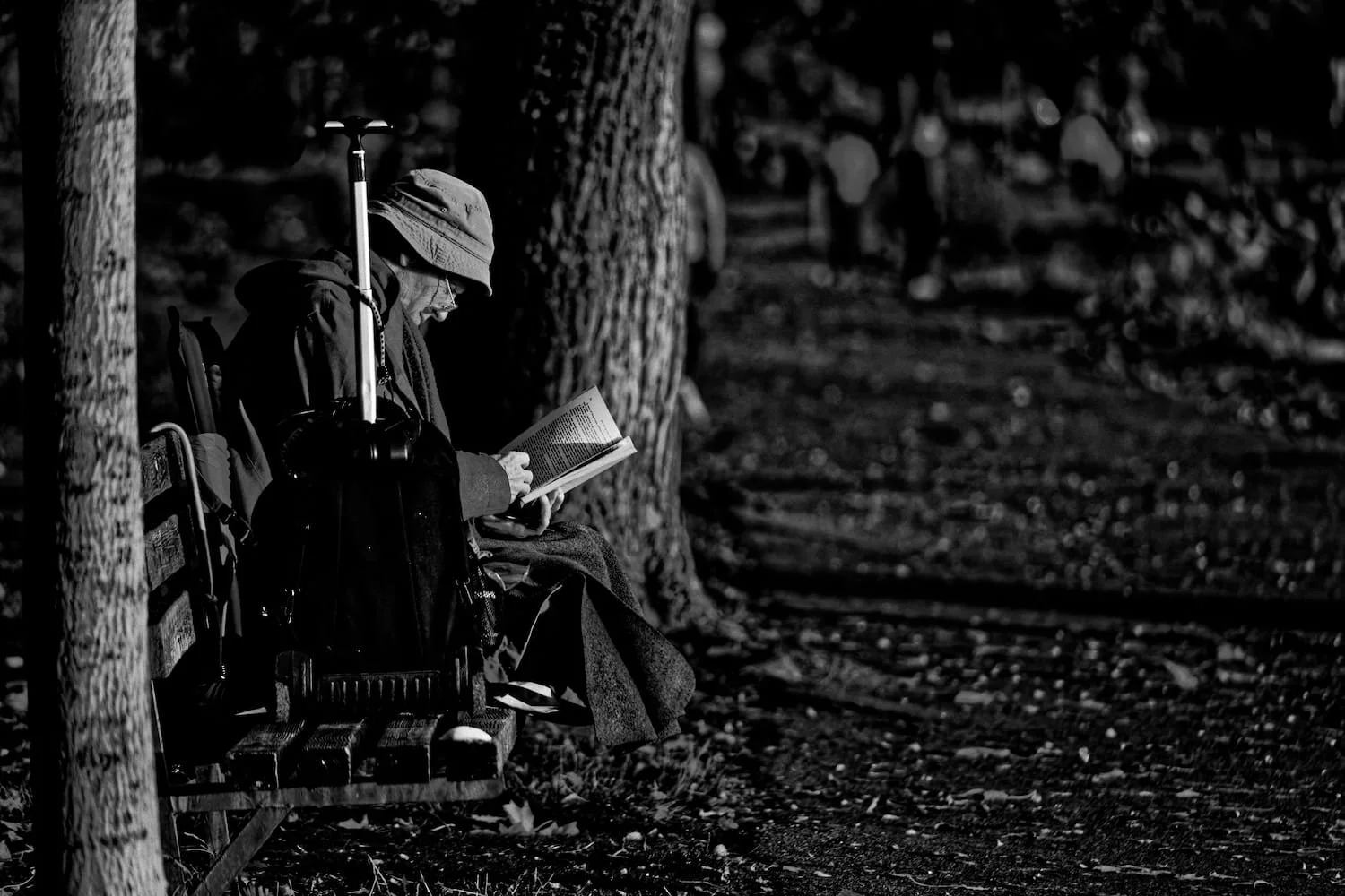 A person sitting on a park bench reading a book, wearing a hat and coat, with hiking gear including a walking stick and backpack, surrounded by trees and fallen leaves, in black and white.