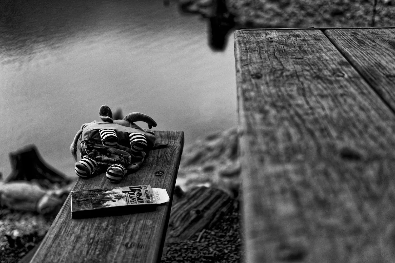 A wooden bench beside a body of water with a small plush toy crab and a book placed on it.