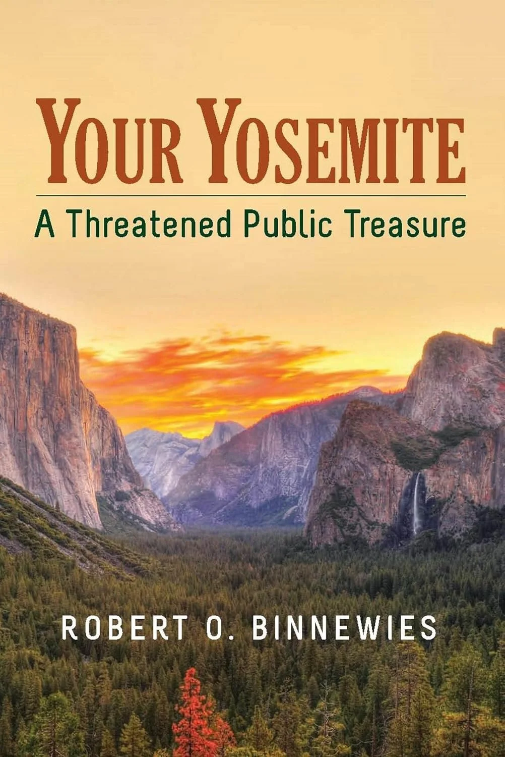 Your Yosemite A Threatened Public Treasure by Robert O. Binnewies published by White Cloud Press
