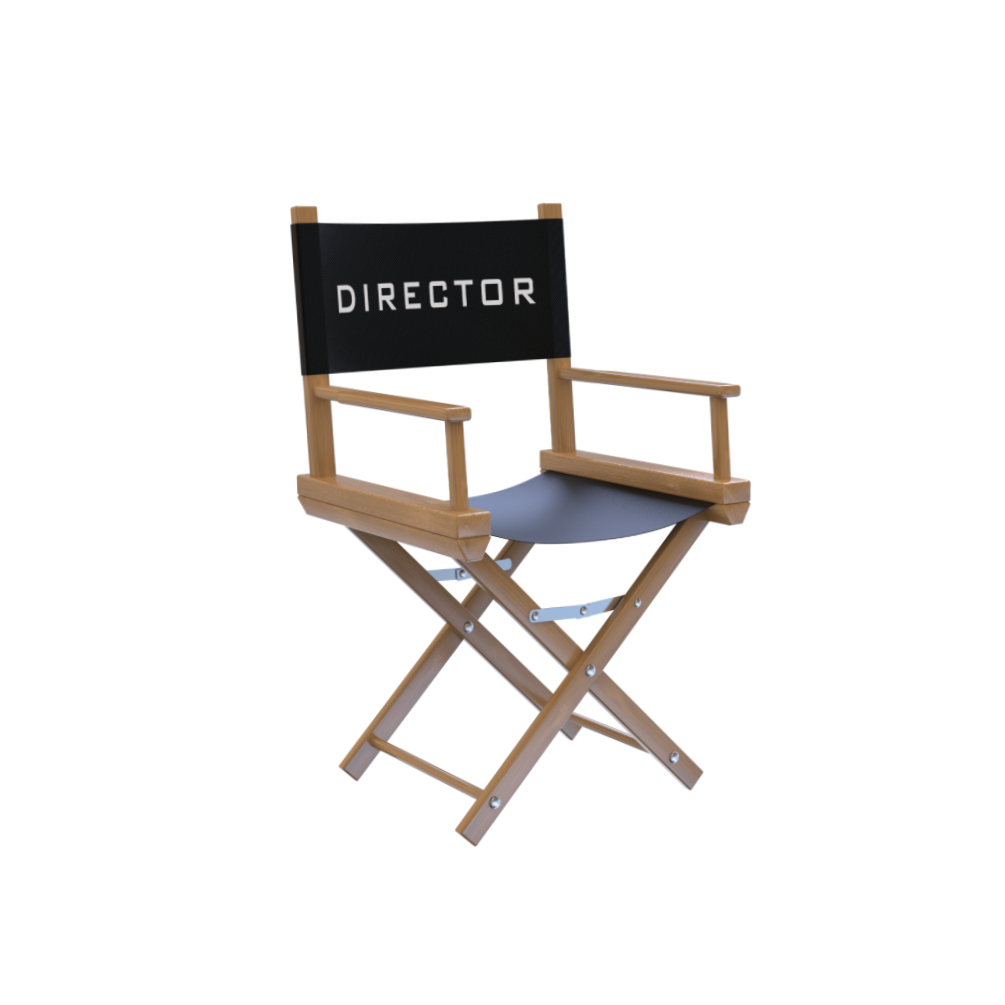Director's chair with a black backrest labeled 'DIRECTOR' in white letters, made of wood with a black seat, isolated on white background.