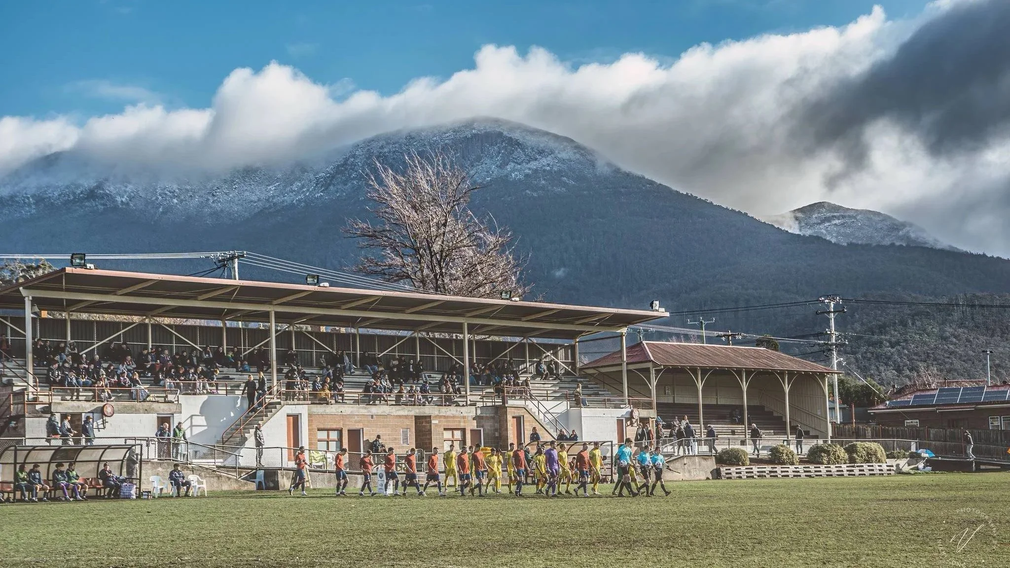 D’Arcy Street - South Hobart Oval Needs Your Voice
