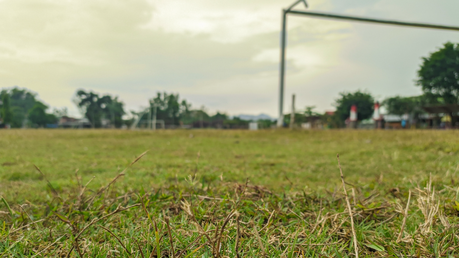 Bringing the Game into Disrepute