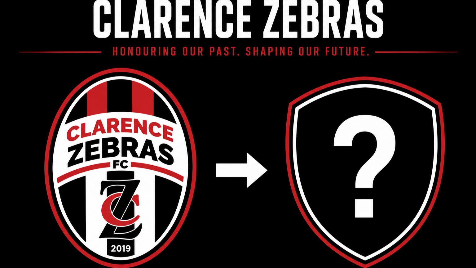 Identity Matters: Clarence Zebras Starts a Conversation About the Future