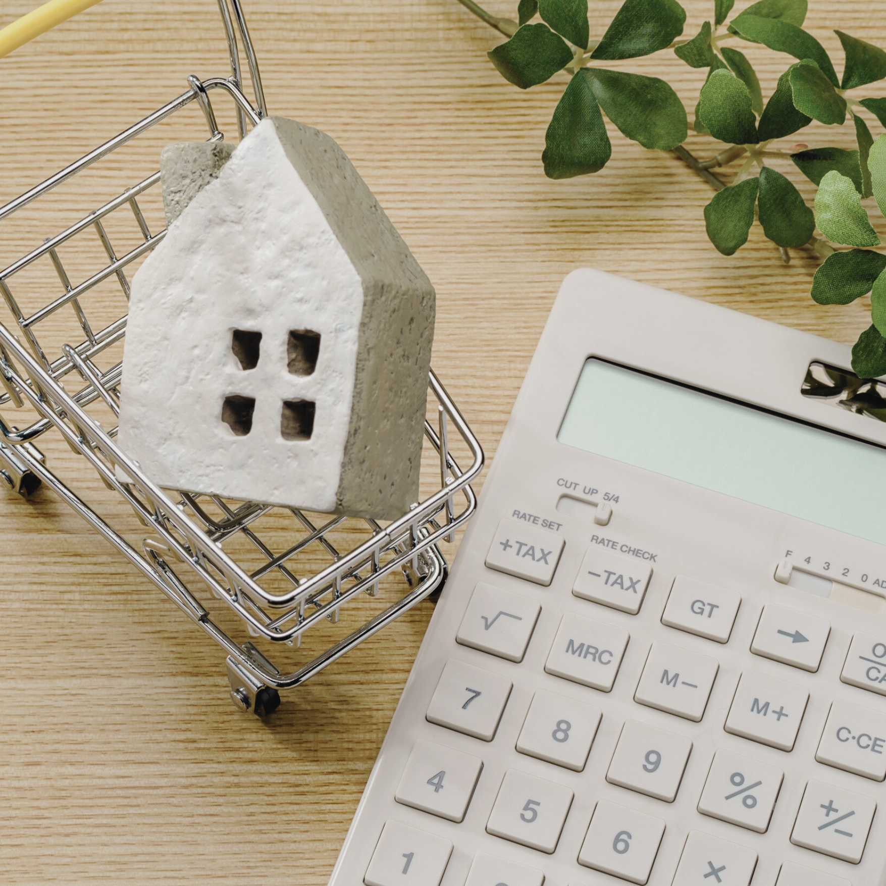 Errand & Home Support Services