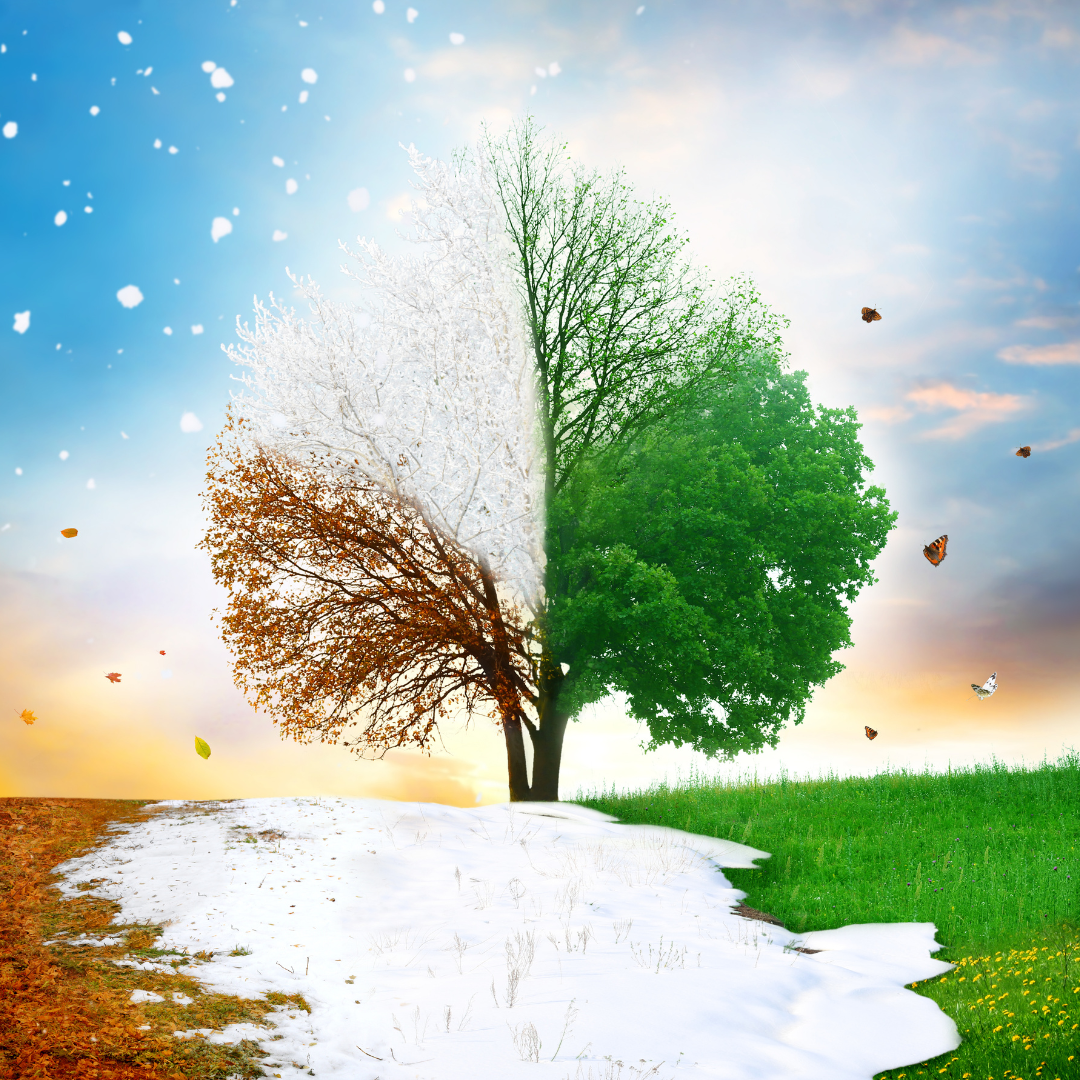 Seasonal Home Services