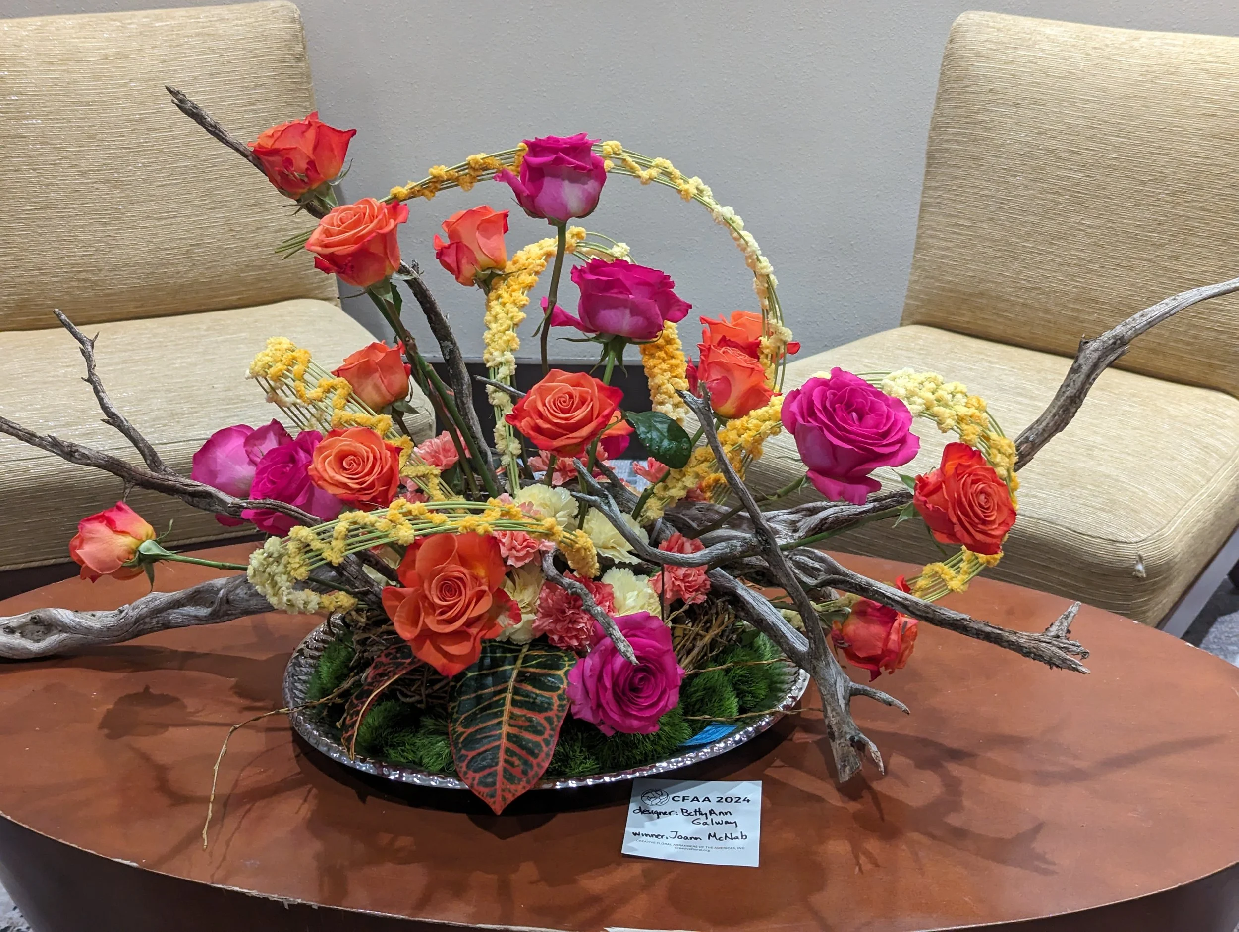 PXL_20240224_172353994 (1).jpg