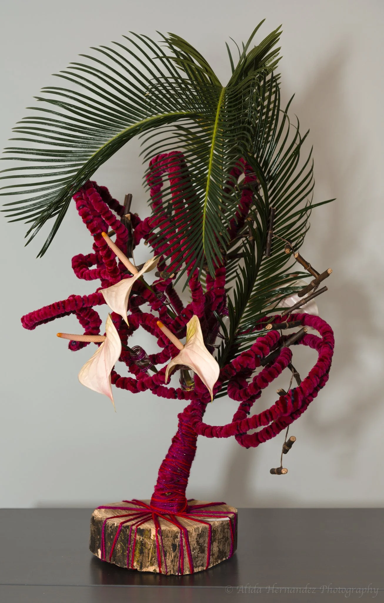 _DSC7891-Edit.jpg