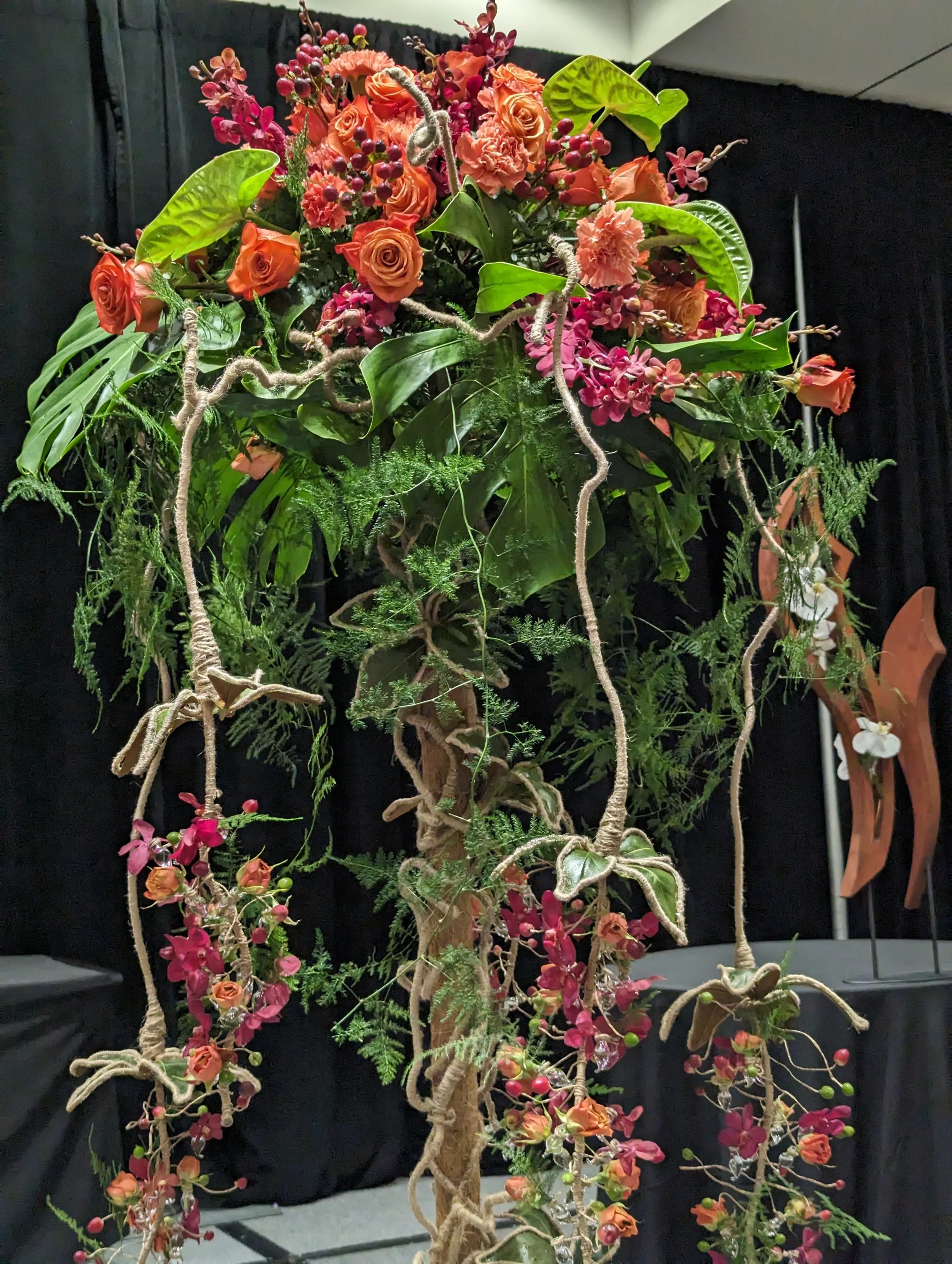 PXL_20240225_021354608.jpg