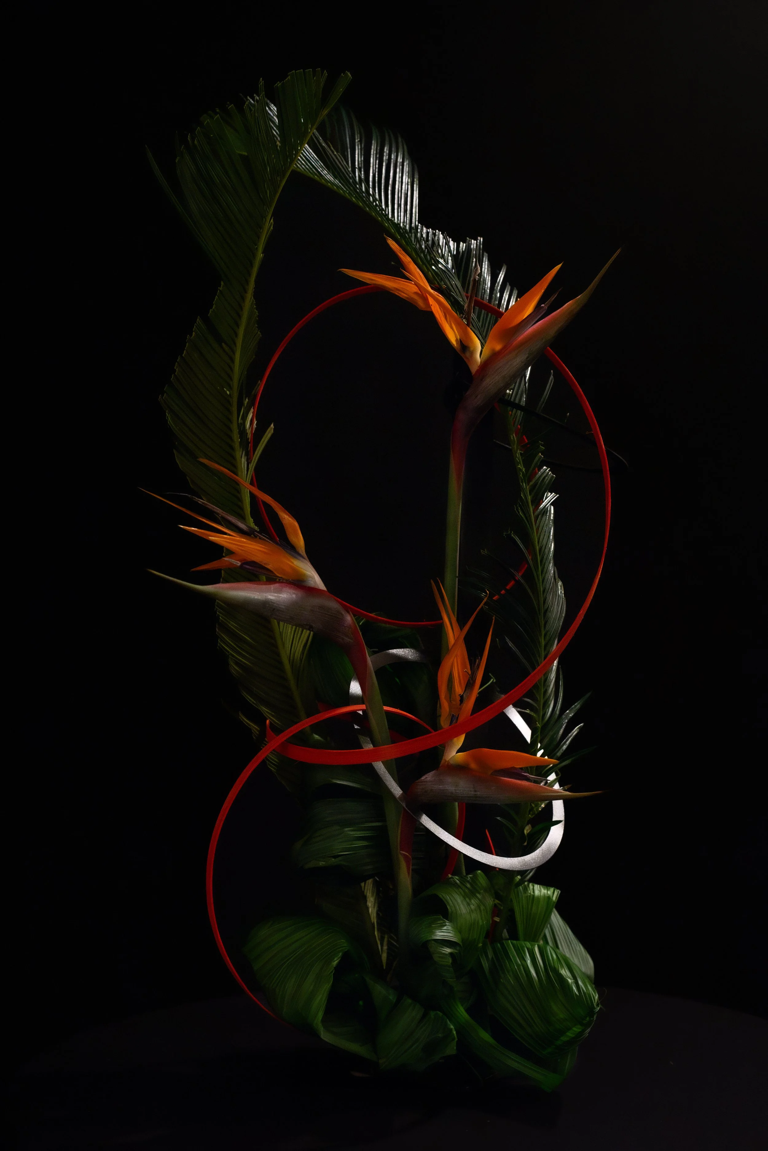 _DSC8046-Enhanced-NR-Edit.jpg