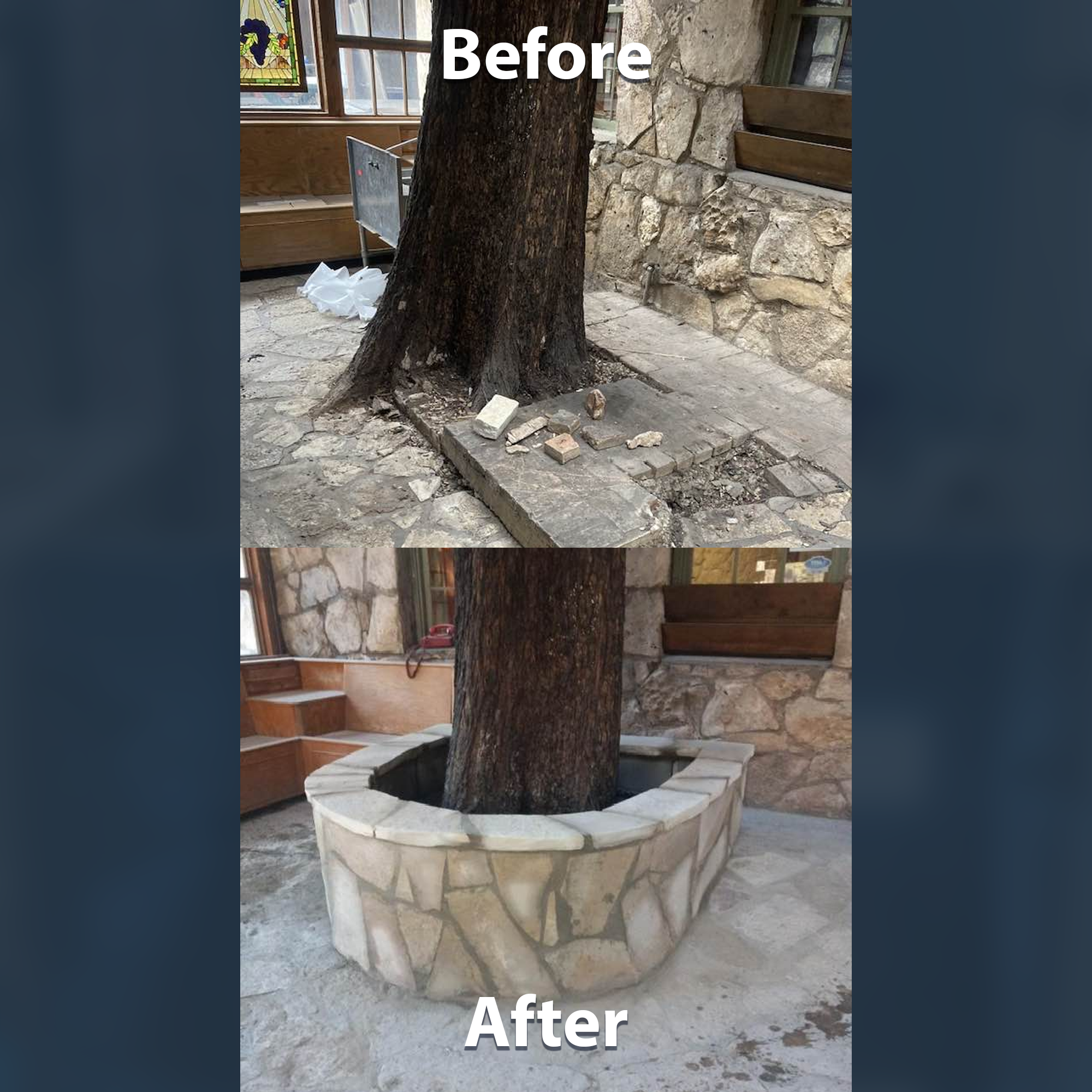 Side-by-side comparison of a tree area before and after landscaping. The before image shows a tree growing through a concrete slab with scattered rocks and debris around it. The after image shows the same tree now surrounded by a decorative stone border, with a clean, finished appearance.