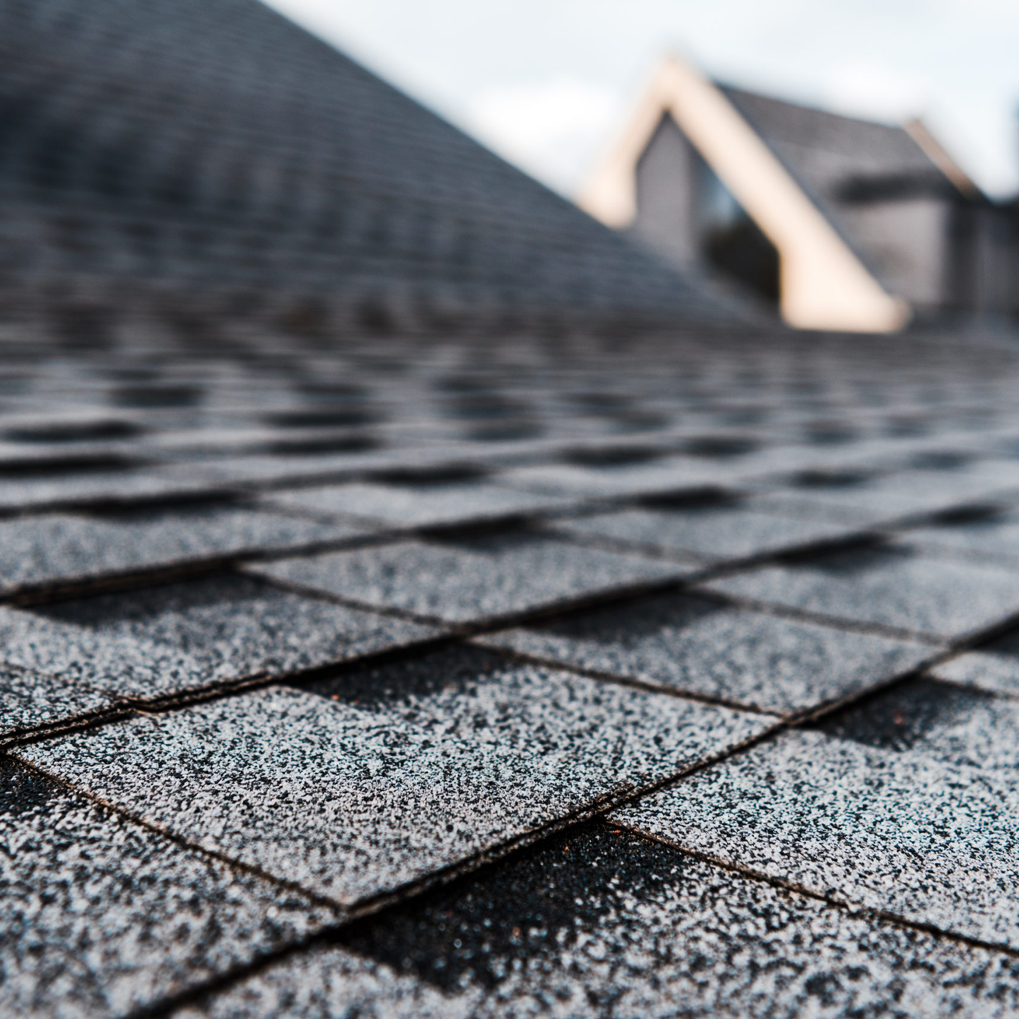 Close-up of a rooftop with asphalt shingles, some of which are slightly frosted or dusted with snow, with blurred residential buildings in the background.