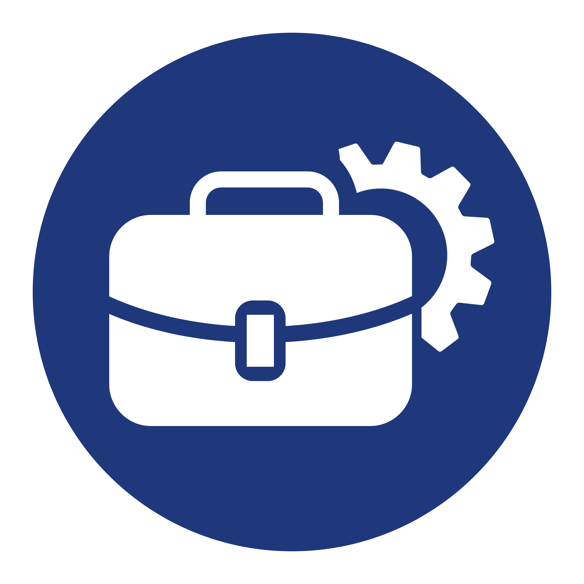 Icon of a briefcase next to a gear, representing work or business settings.