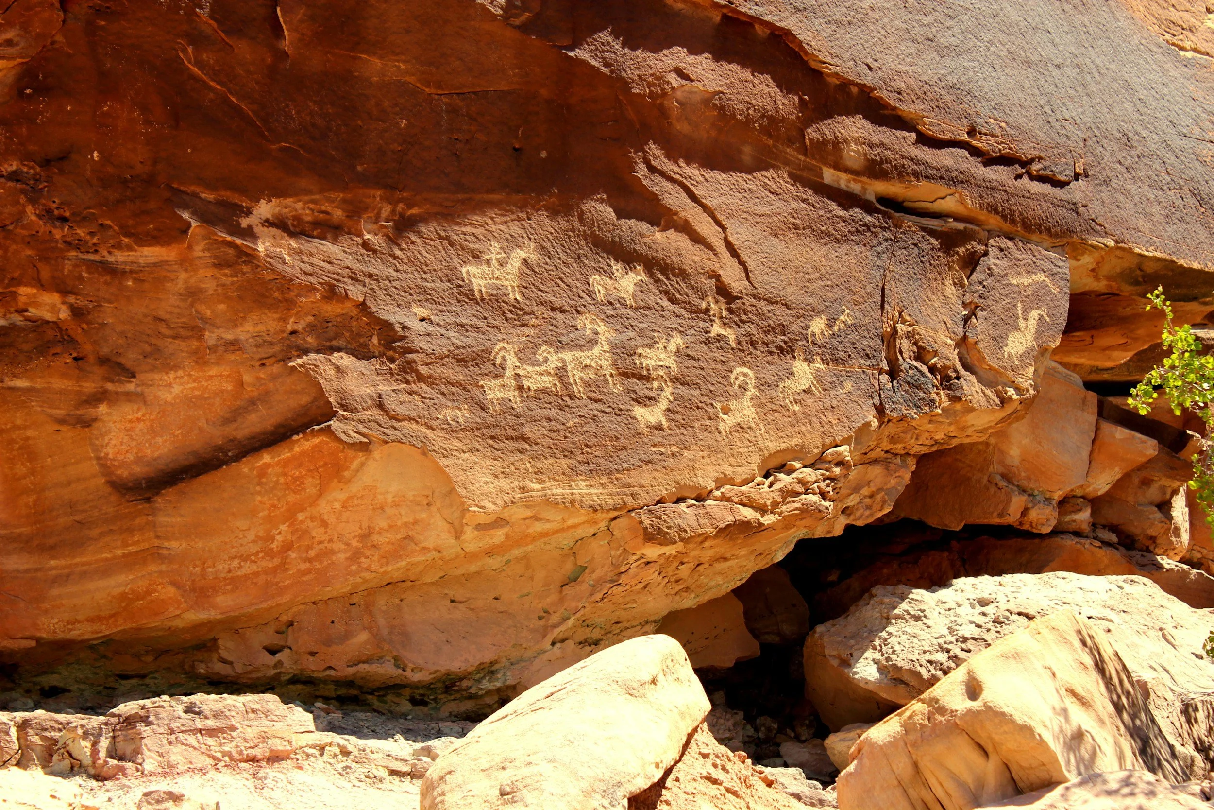 Indigenous Petroglyphs - Moab, Utah