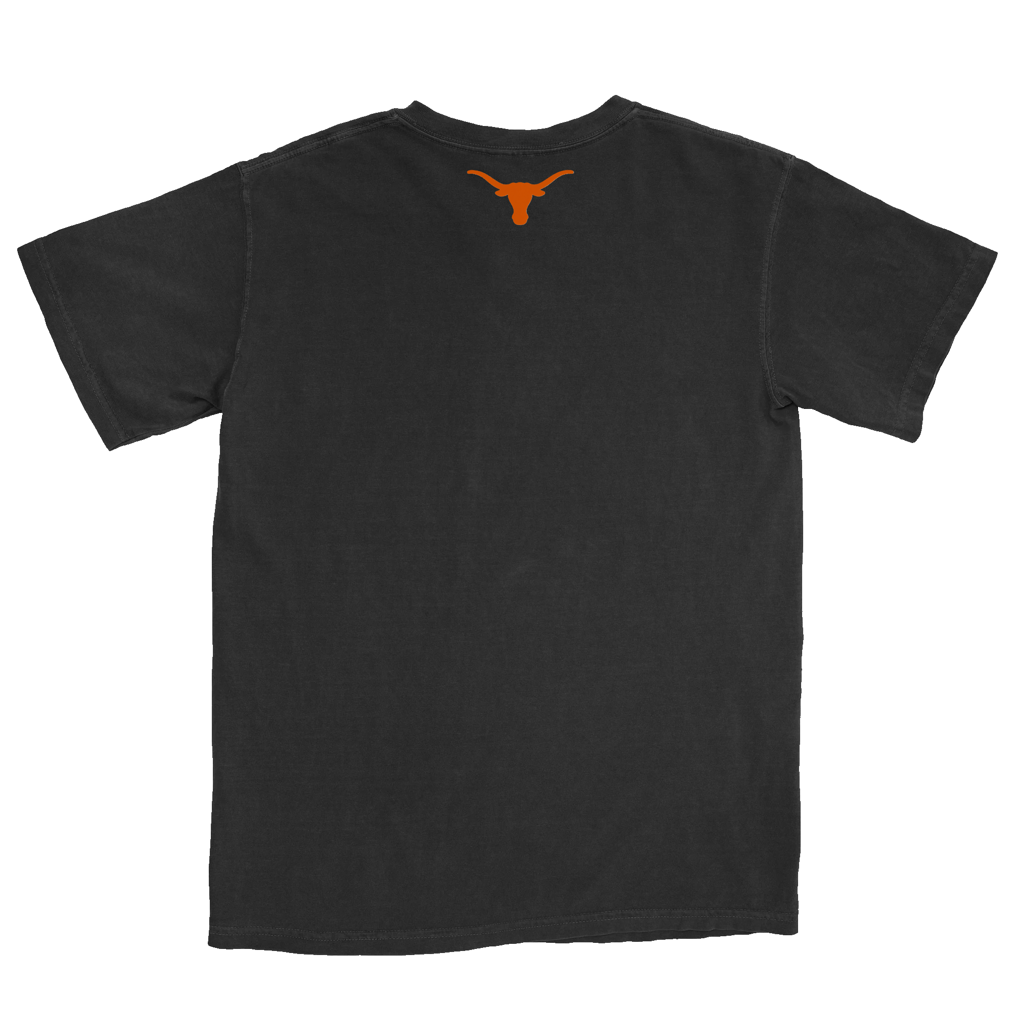 Texas Longhorns Back.png