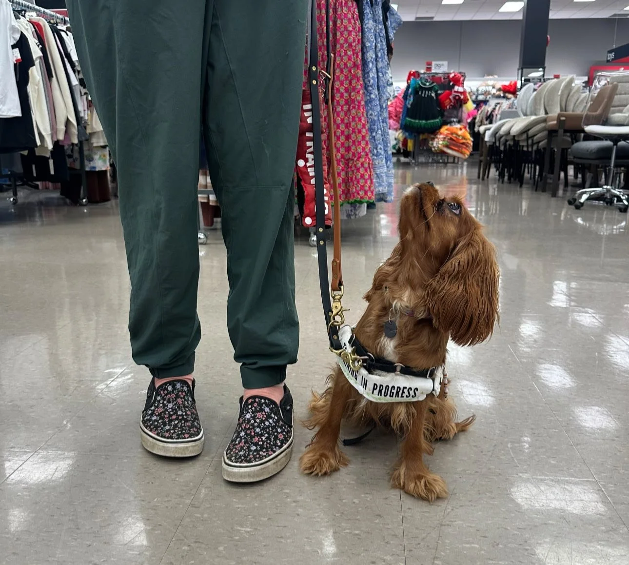 Service Dog Training