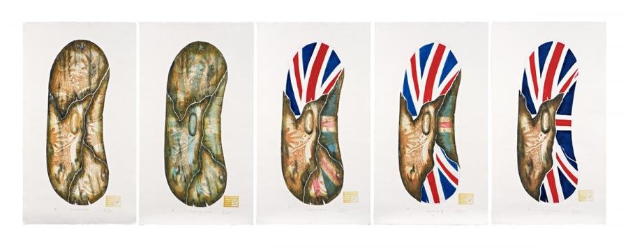 Sequence of five side-by-side illustrations of Aboriginal shields, gradually transitioning from a plain shield to being more and more covered by the British flag.