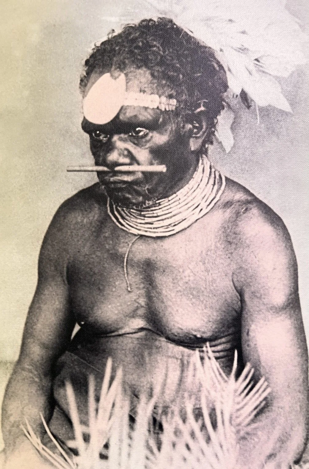 A traditional tribal photograph of an indigenous person with dark skin, adorned with body jewelry, face paint, and natural accessories, including necklaces and clothing made of natural materials and decorations such as leaves or plant fibers.