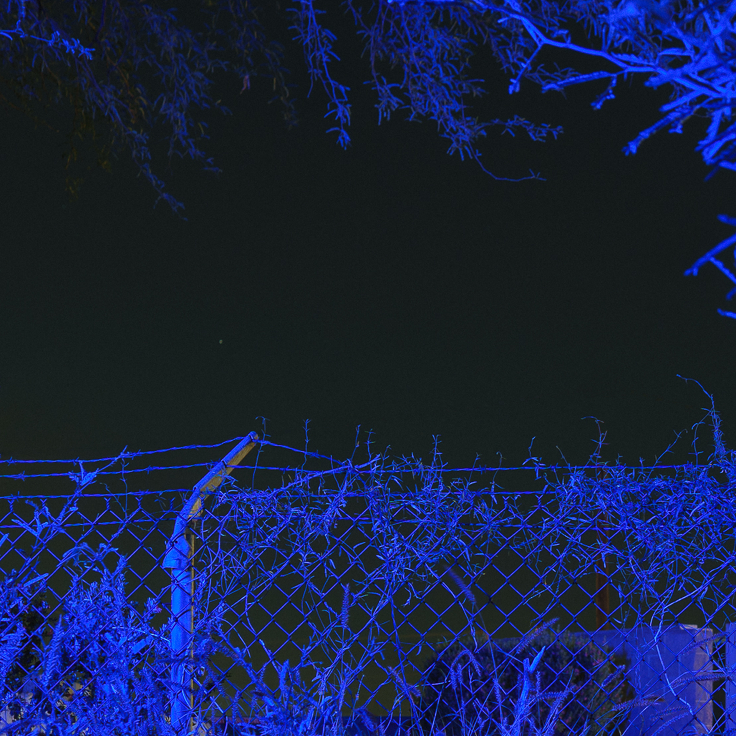 Album cover for Upstairs, Downstairs. Nighttime scene with a dark sky and a single faint star, framed by deep blue illuminated tree branches and a chain-link fence with overgrown vines.